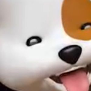 Meet your Posher, Sandy